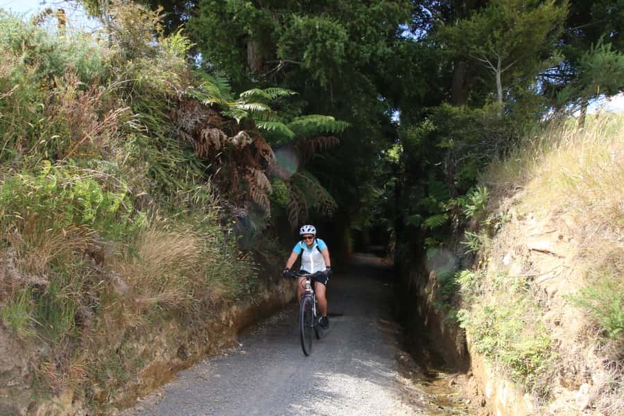 Full Day Ebike Tour - Karangahake Gorge NZ - Martha Mine and Waihis gold story