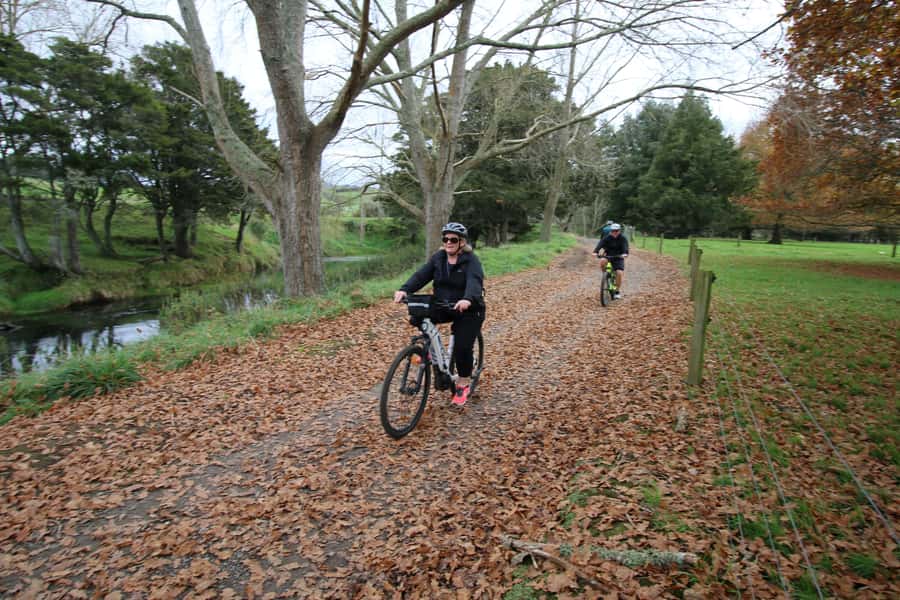 Full Day Ebike Tour - Karangahake Gorge NZ - What the $176 price really covers