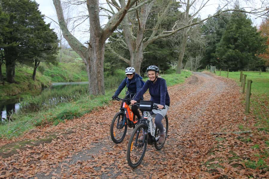 Full Day Ebike Tour - Karangahake Gorge NZ - Waikino and the first 14 kilometres to Waihi