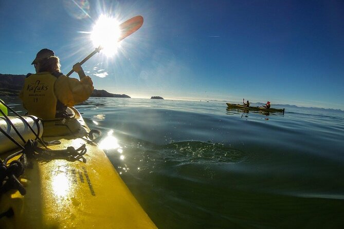 Full-Day Freedom Kayak Rental in New Zealand - Adele and Fisherman Islands by kayak