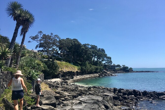 Full-Day Grand Auckland Volcanoes Tour - Why Auckland’s volcanoes are the best way to read the city