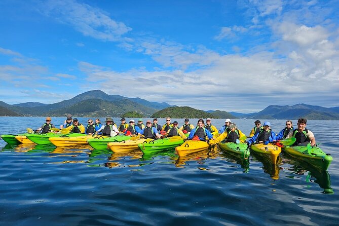 Full day Guided Sea Kayak Tour from Picton - Why the flexible route matters