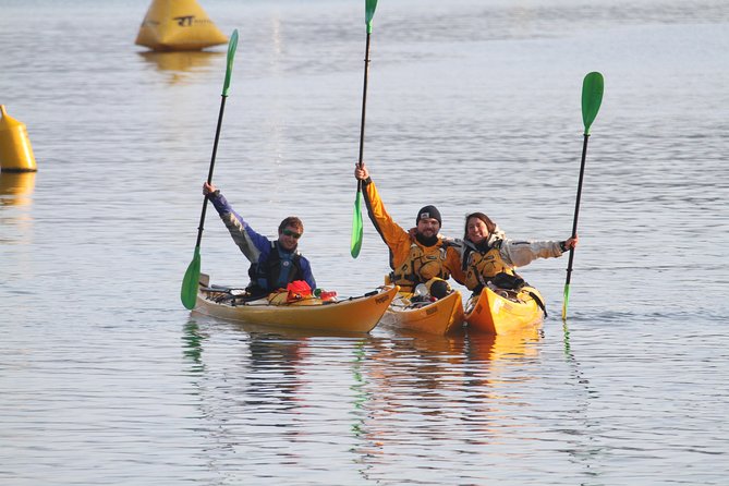 Full day Guided Sea Kayak Tour from Picton - What equipment is supplied