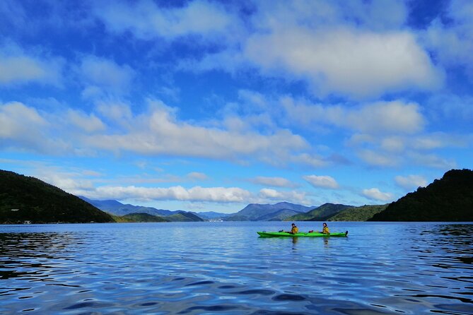 Full day Guided Sea Kayak Tour from Picton - Price, timing, and group size
