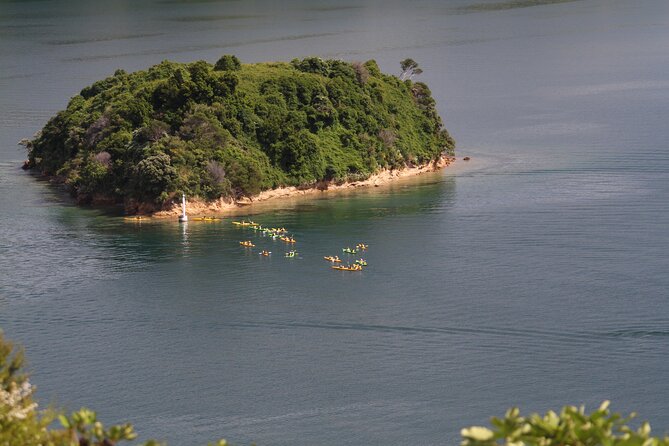 Full day Guided Sea Kayak Tour from Picton - Who will enjoy this full-day paddle