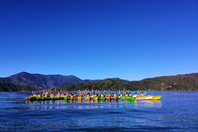 Full day Guided Sea Kayak Tour from Picton - Quiet coves and wildlife at water level