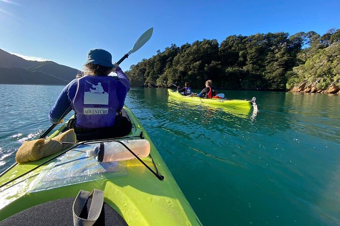 Full-Day Guided Sea Kayak Trip from Picton - Starting in Picton at 8:15 am