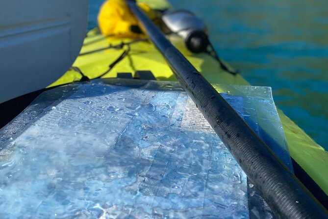 Full-Day Guided Sea Kayak Trip from Picton - What the guide adds to the day