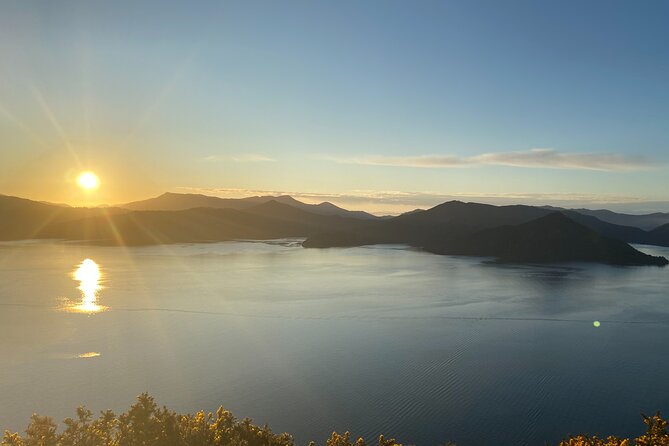 Full-Day Guided Sea Kayak Trip from Picton - Wildlife, quiet water, and the value of going slowly
