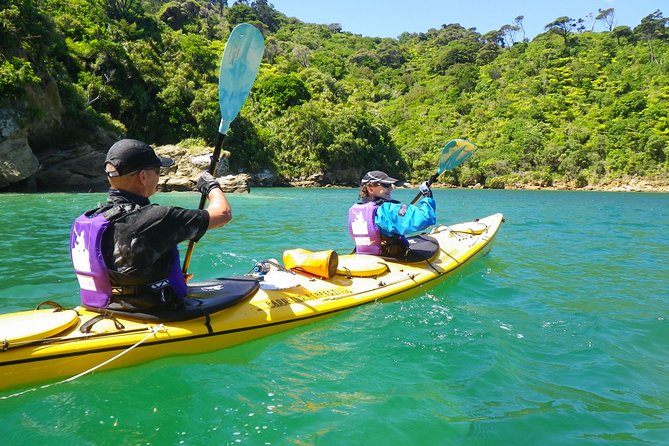 Full-Day Guided Sea Kayak Trip from Picton - Morning tea on a remote beach