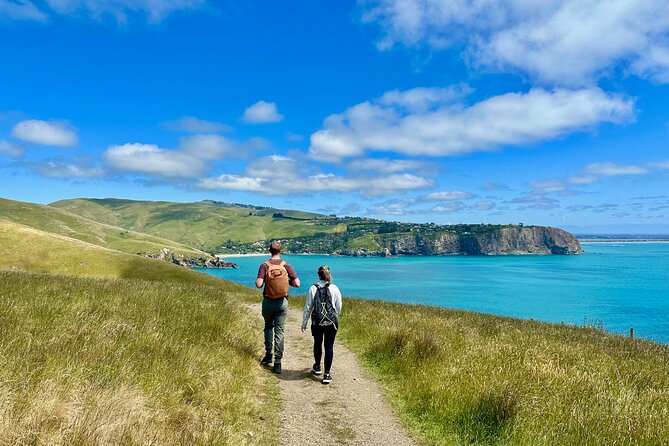 Full Day Guided Walking Tour and Picnic around Godley Head - Key details before you book