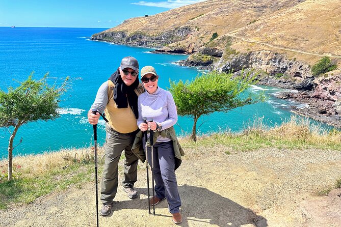 Full Day Guided Walking Tour and Picnic around Godley Head - Why Godley Head is such a strong Christchurch day out
