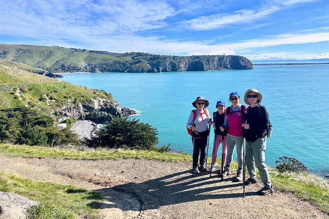 Full Day Guided Walking Tour and Picnic around Godley Head - Penguins, beaches, and chances for wildlife