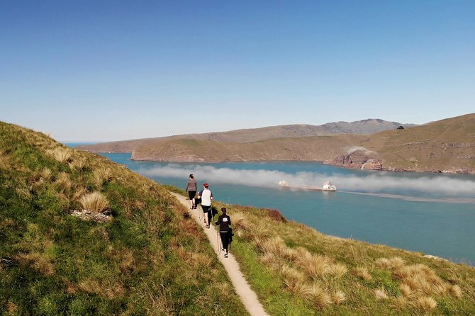 Full Day Guided Walking Tour and Picnic around Godley Head - A picnic lunch beside the water