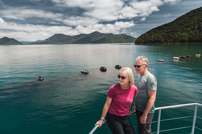 Full Day Iconic Mail Boat Cruise - Seating, group size, and access