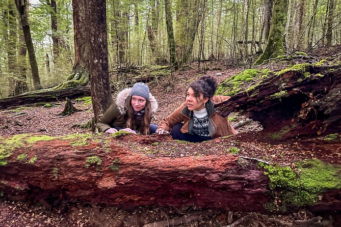 Full Day Lord of the Rings Mavora Lakes Adventure! - The Breaking of the Fellowship in real surroundings