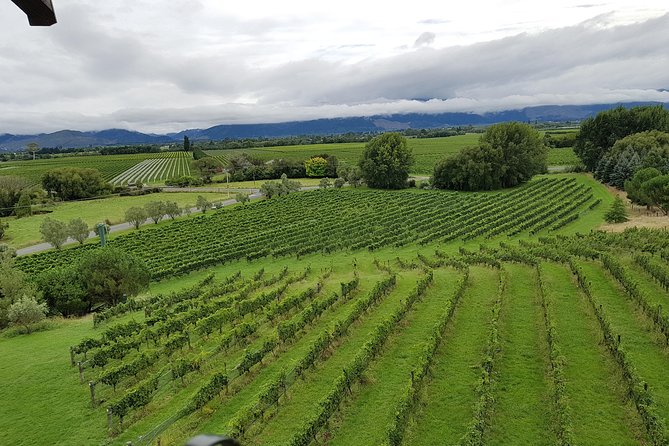 Full-Day Marlborough Catamaran Cruise with Wine Tour and Lunch - Practical details that affect your decision