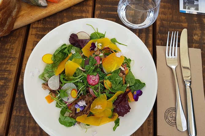Full-Day Marlborough Catamaran Cruise with Wine Tour and Lunch - The bottom line: is this the right tour for you?