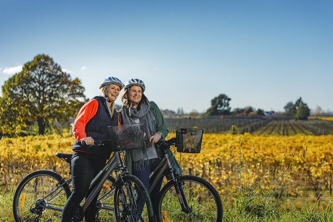 Full-Day Marlborough Wine Region Bike Hire - Why Marlborough works so well by bike