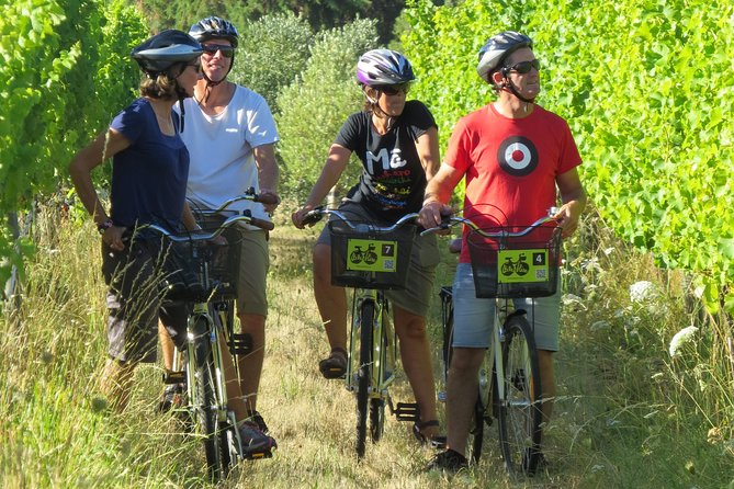 Full-Day Marlborough Wine Region Bike Hire - Building a sensible winery route