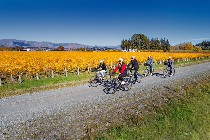Full-Day Marlborough Wine Region Bike Hire - What the cycling feels like