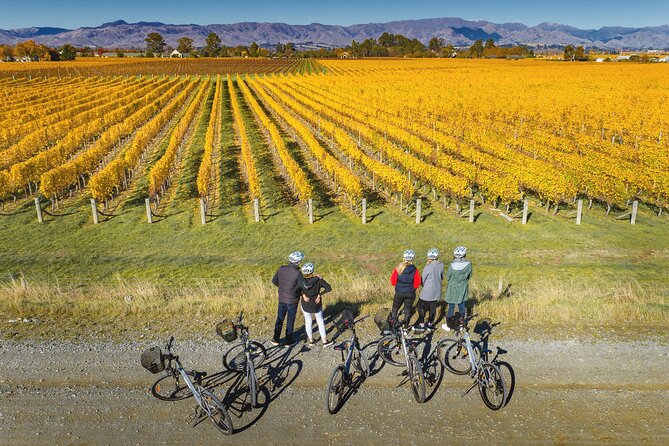 Full-Day Marlborough Wine Region Bike Hire - Cellar doors, lunch, and the extras at the base