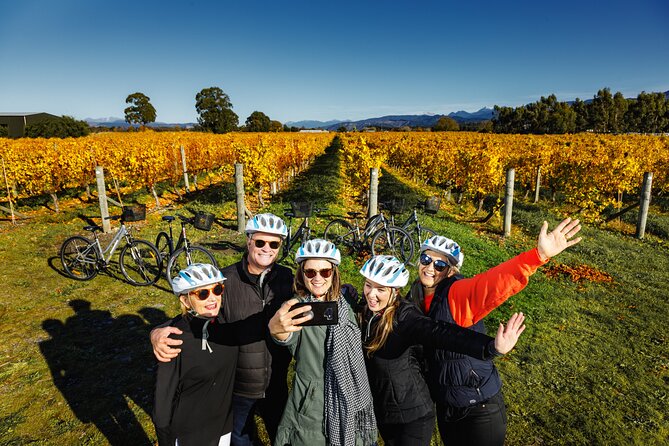 Full-Day Marlborough Wine Region Bike Hire - What your 9:30am start looks like