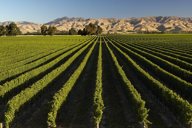 Full-Day Marlborough Wine Tour from Blenheim - Practical details that affect your day