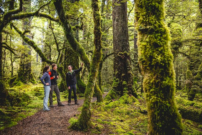 Full-Day Milford Sound Tour with Cruise and Walks from Te Anau - Mirror Lakes offers a gentle first walk