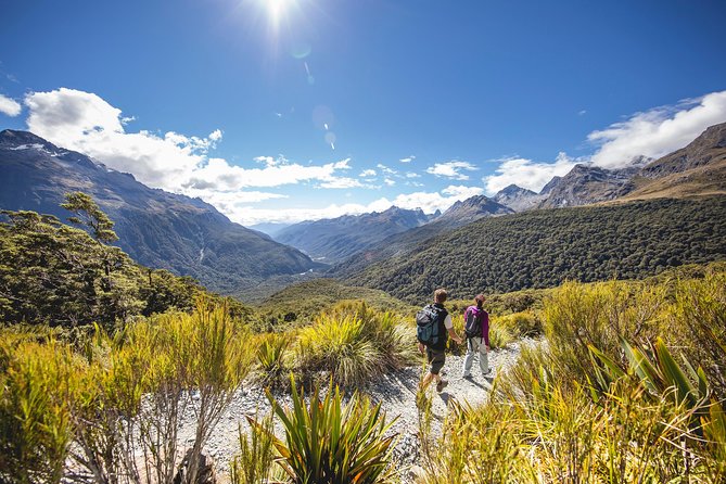 Full-Day Milford Sound Tour with Cruise and Walks from Te Anau - Lake Gunn and the forest stops