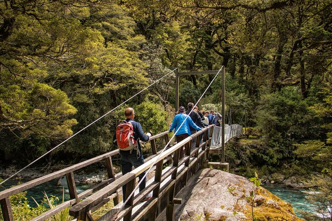 Full-Day Milford Sound Tour with Cruise and Walks from Te Anau - Homer Tunnel is a memorable passage