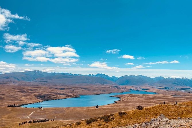 Full-Day Private Tour Mt.Cook from Christchurch - Why the private format can be worth the price