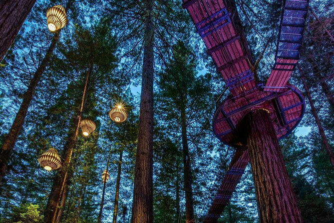 FULL DAY ROTORUA TOUR - Fully Customisable 13 hours Unlimited KMS - Why a private Auckland to Rotorua trip makes sense