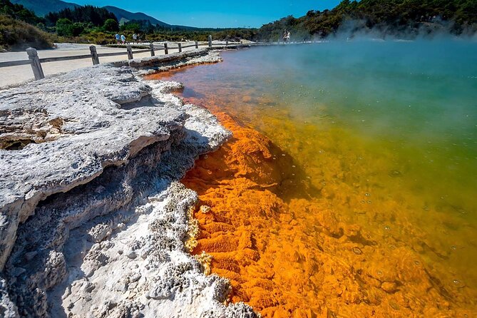 FULL DAY ROTORUA TOUR - Fully Customisable 13 hours Unlimited KMS - Blue Spring offers a quiet change of pace