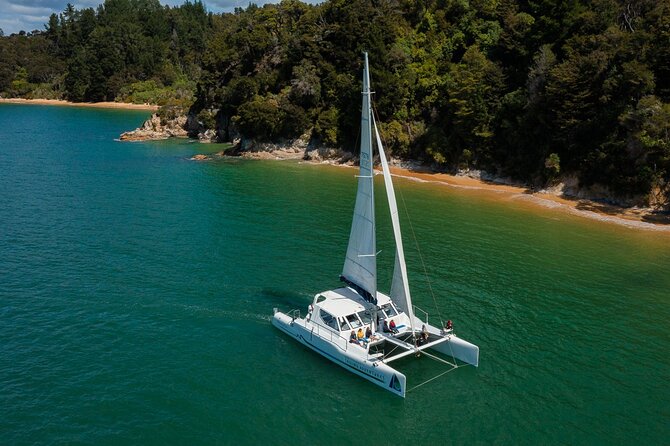 Full-Day Sailing Adventure in the Abel Tasman National Park - Adele Island for seals and native birds