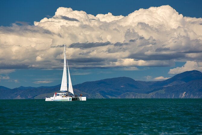 Full-Day Sailing Adventure in the Abel Tasman National Park - Anchorage Bay gives the day a proper pause