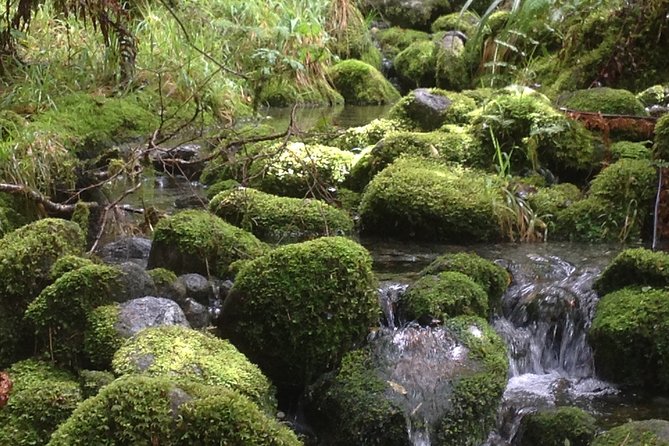 Full-Day Small-Group Routeburn Valley Hike - Why this Routeburn outing works well from Queenstown