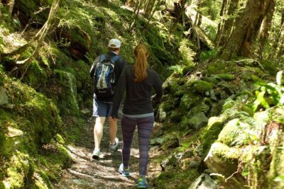 Full-Day Small-Group Routeburn Valley Hike
