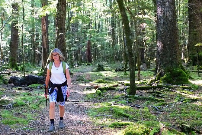 Full-Day Small-Group Routeburn Valley Hike - Glenorchy, Paradise Valley, and the Dart River Valley