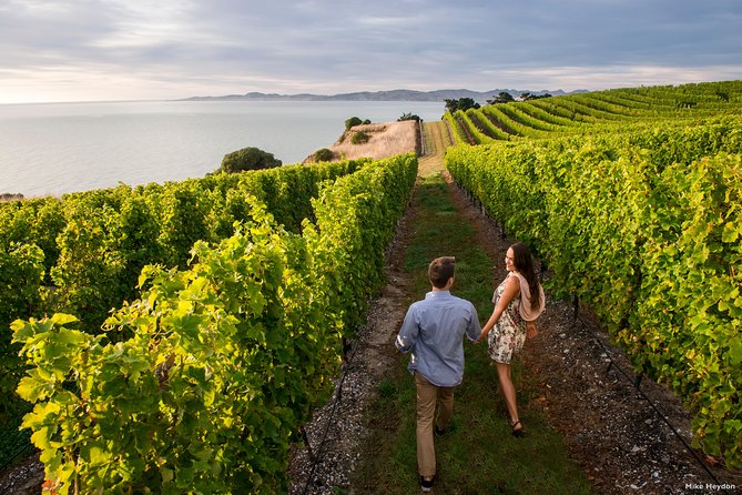 Full-Day Taste the Wines of Marlborough Tour - Key points to know before you book
