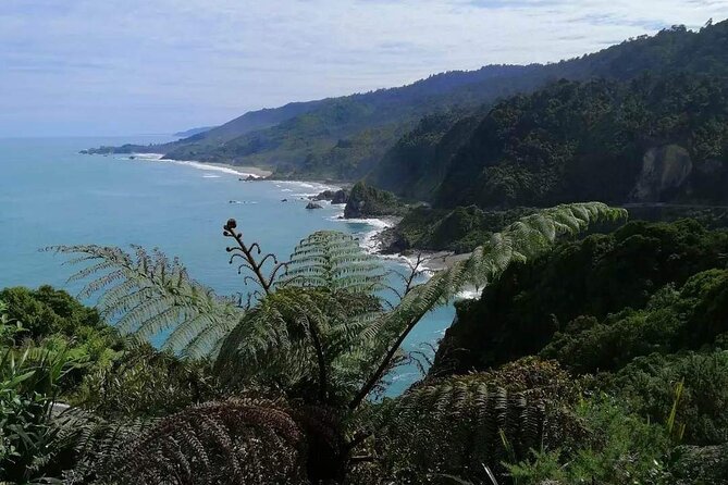 Full Day Tour of the Sights and Tastes of the West Coast - Key points to know before booking