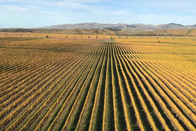 Full-Day Wine Gourmet and Scenic Delight Tour of Marlborough from Blenheim - Allan Scott brings family winemaking into the day