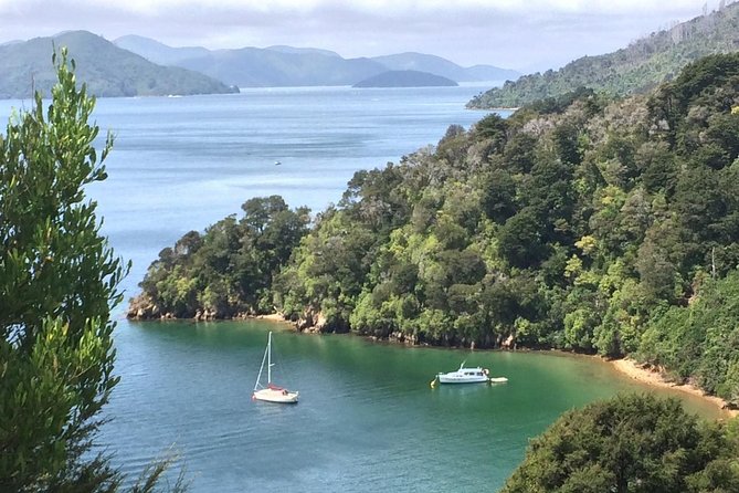 Full-Day Wine Gourmet and Scenic Delight Tour of Marlborough from Blenheim - What the $183.07 price really covers