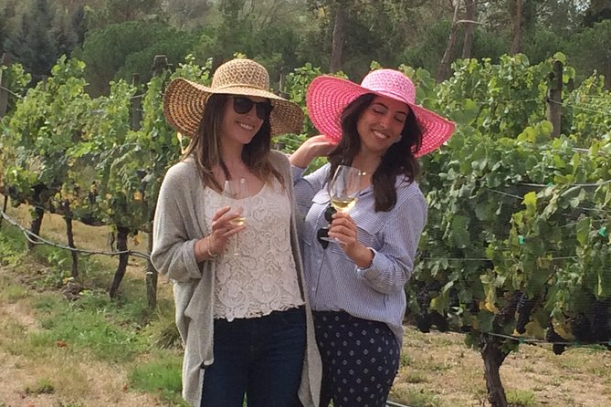 Full-Day Wine Gourmet and Scenic Delight Tour of Marlborough from Blenheim - Makana Confections adds a sweet opening