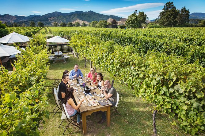 Full Day Winemakers Tour in Marlborough - A full day among Marlborough’s vines