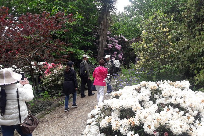 Garden and City tour - Signal Hill: the best quick view of Dunedin