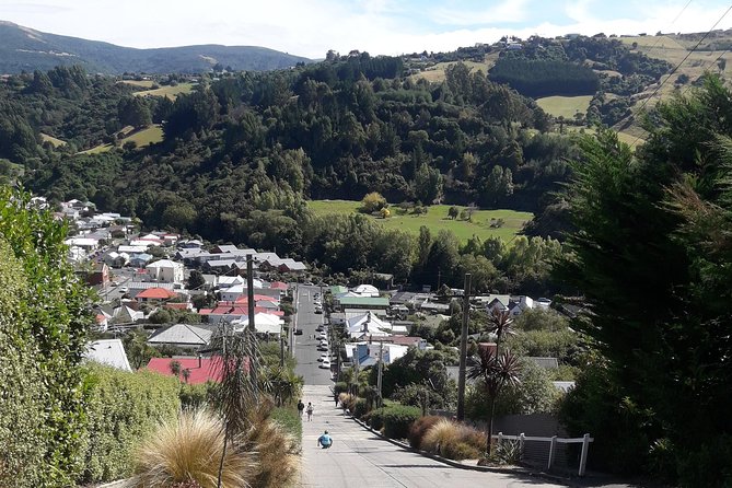 Garden and City tour - Dunedin Botanic Garden: a flexible visit, not one fixed route