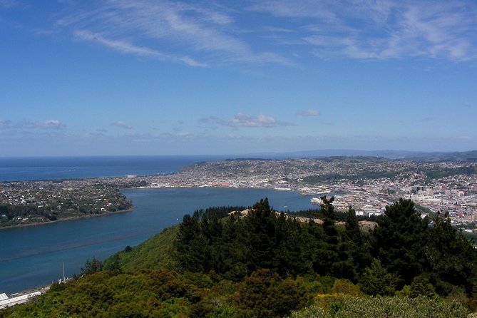 Garden and City tour - Baldwin Street: a famous slope with an optional workout