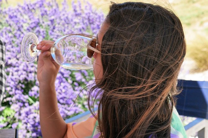 Gibbston Half-Day Private Wine Tour with Hotel Pickup - Four cellar doors, with no fixed winery list