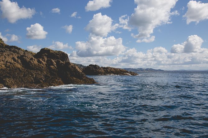 Glass Bottom Boat Tour - Is $31.83 good value for one hour?